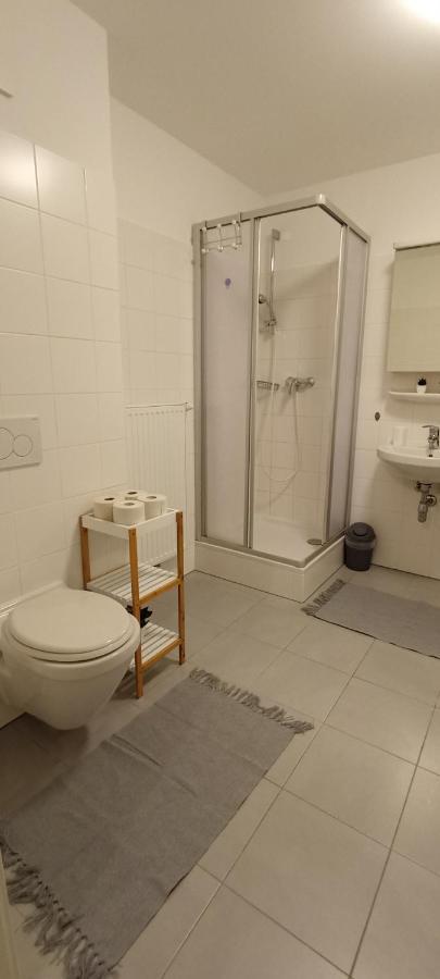 In Zentrum Zwischen Hauptplatz Und Stadtpark Leoben (Styria)