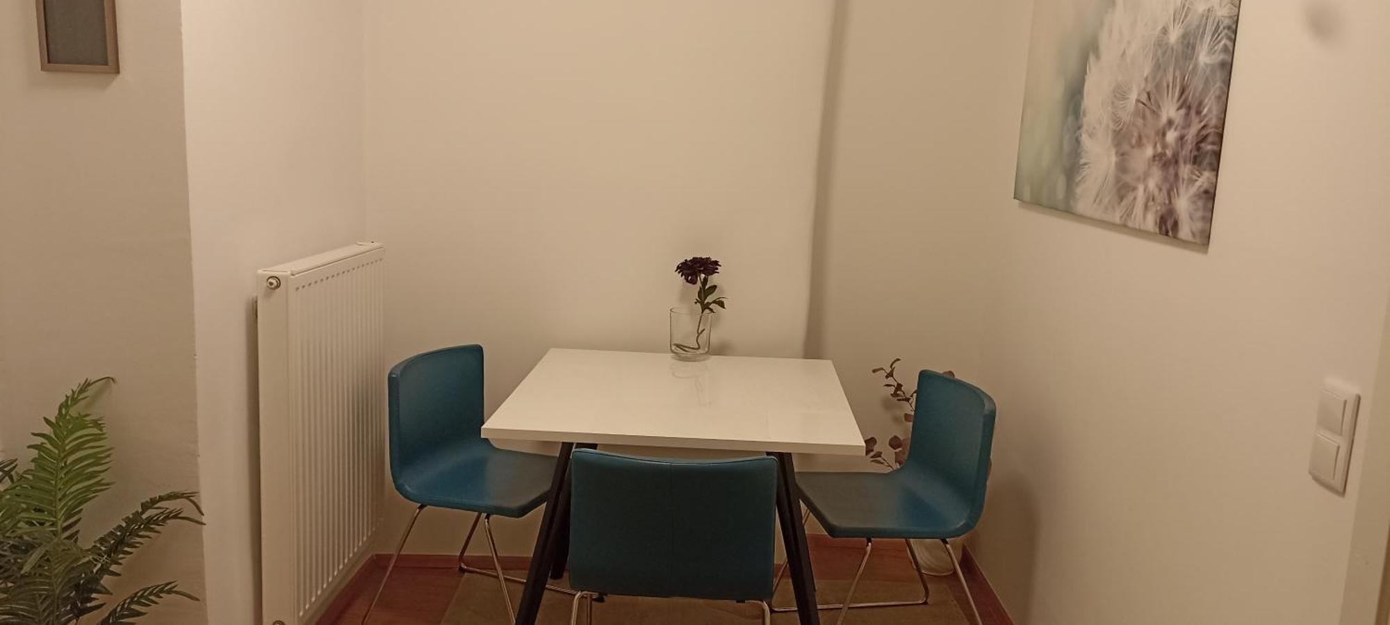 Apartamento In Zentrum Zwischen Hauptplatz Und Stadtpark *