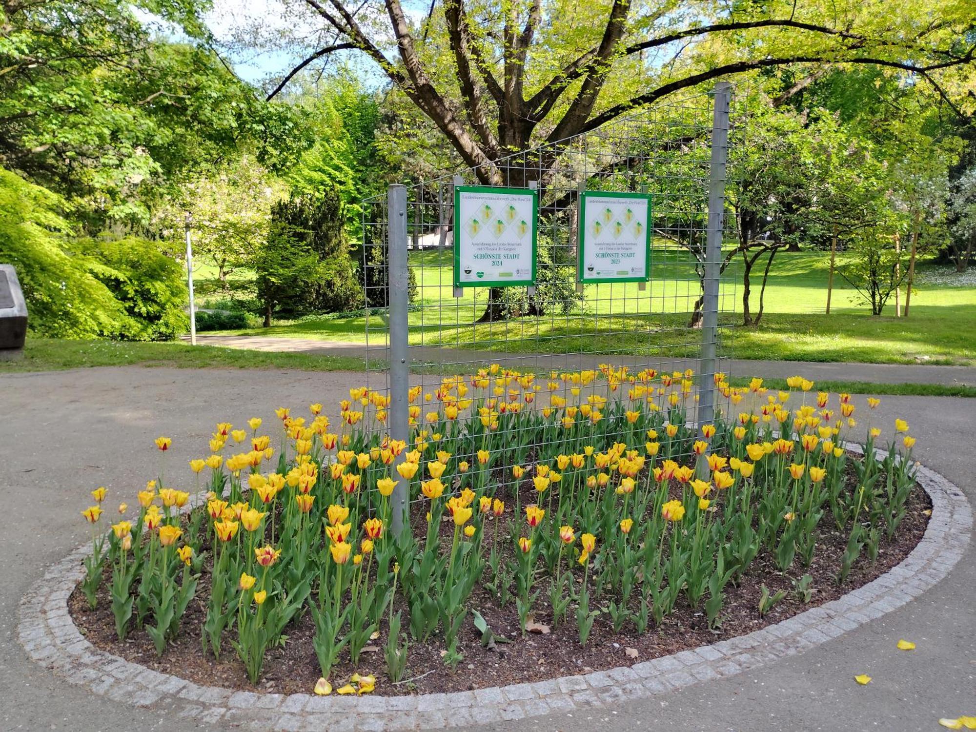 Apartamento In Zentrum Zwischen Hauptplatz Und Stadtpark Leoben (Styria)